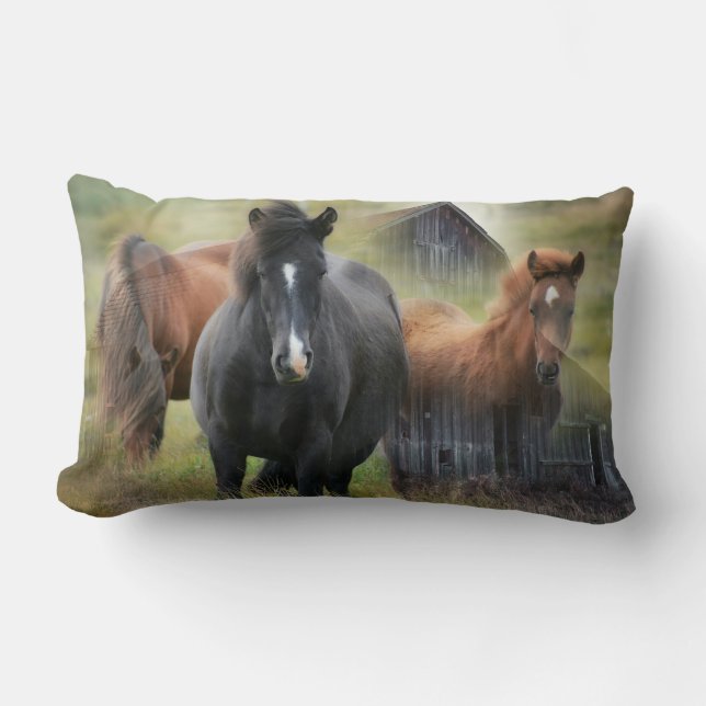 Coussin Rectangle Beaux chevaux et grange rustique (Recto)