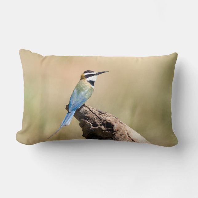 Coussin Rectangle Bee-eater (Recto)