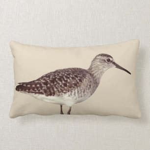 Coussin Rectangle Beige côtier pour la plage d'oiseau et de sandy de