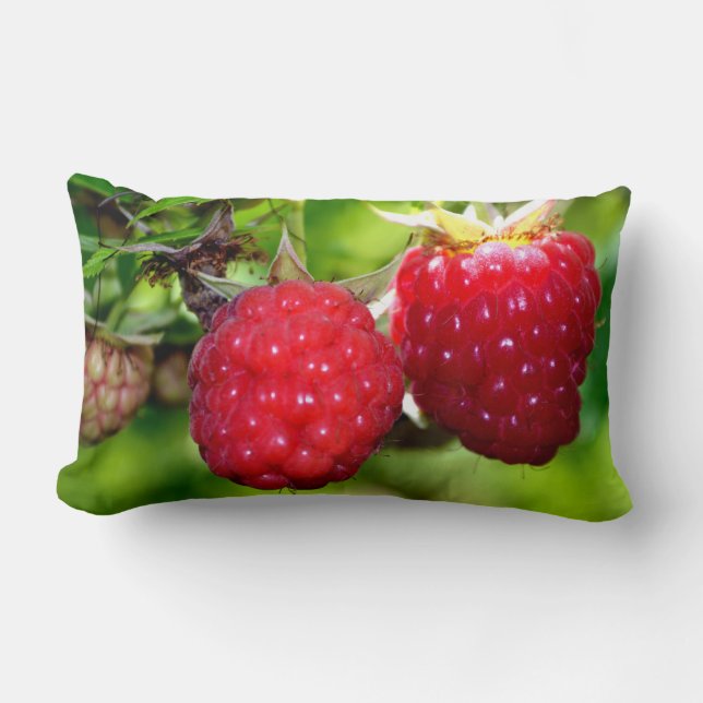 Coussin Rectangle Belles framboises rouges (Recto)