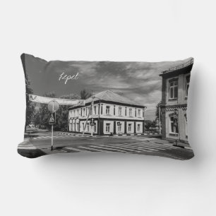 Coussin Rectangle Biélorussie Б л а р с de Lepel de е de de Lepel