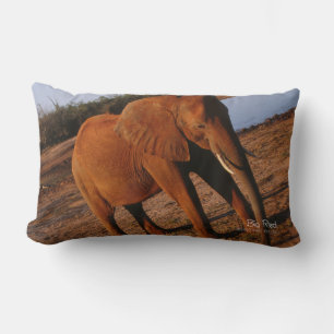 Coussin Rectangle Big Red