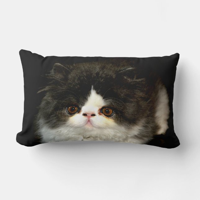 Coussin Rectangle Black White Kitten noir blanc mignon chat (Recto)