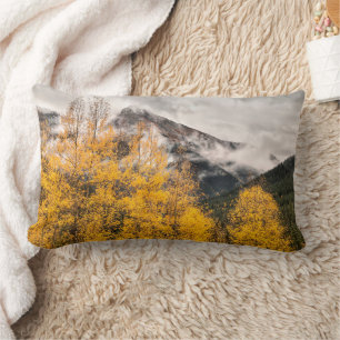 Coussin Rectangle Boucle alpine   Silverton, Colorado