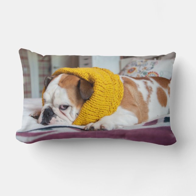 Coussin Rectangle Bouledogue anglais des images | de Getty (Recto)