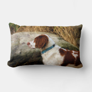 Coussin Rectangle Bretagne Espagne - Cuivre
