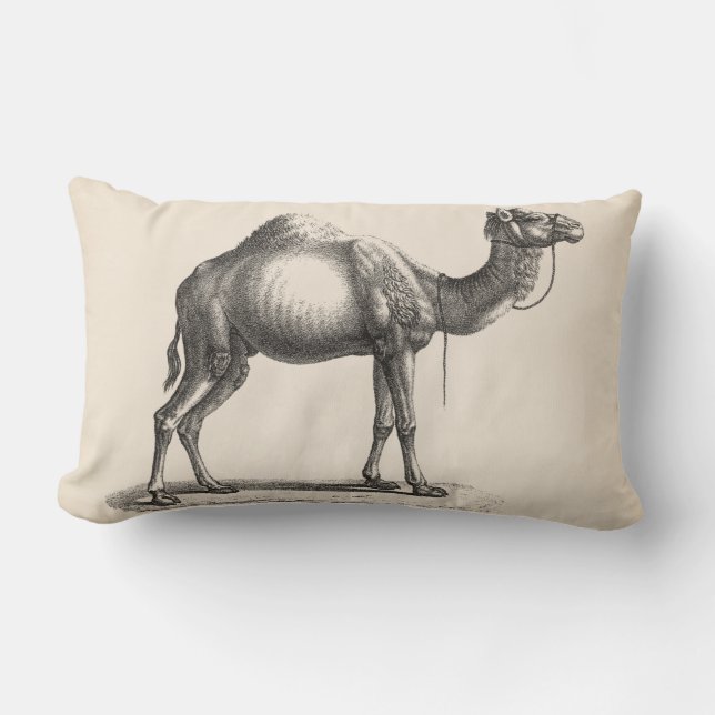 Coussin Rectangle Brodtmann Dromedary Camel croquis (Recto)