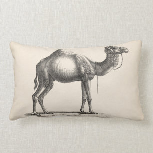 Coussin Rectangle Brodtmann Dromedary Camel croquis