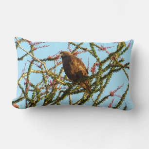 Coussin Rectangle Buse à queue rousse immature dans un buisson d'oco