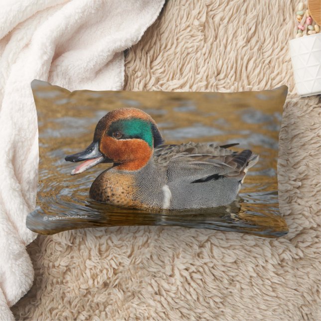 Coussin Rectangle Canard Turquoise à ailes vertes à poitrine à Pond (Couverture)