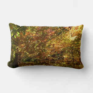 Coussin Rectangle Canopée des Feuilles d'automne II Photographie d'a