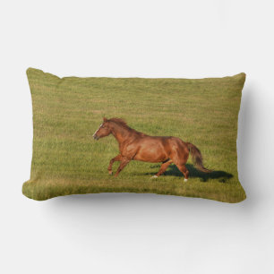 Coussin Rectangle Cantonnement, Courir Chestnut Horse Equine Photo