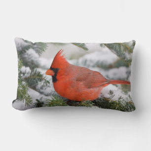 Coussin Rectangle Cardinal du Nord dans un sapin baumier en hiver