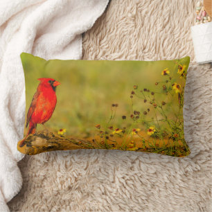 Coussin Rectangle Cardinal mâle sur une bûche