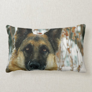 Coussin Rectangle Carreau de berger allemand