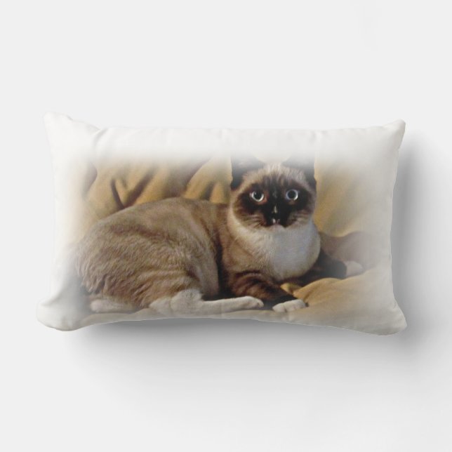 Coussin Rectangle Carreau de chaton de délivrance de raquette de (Recto)