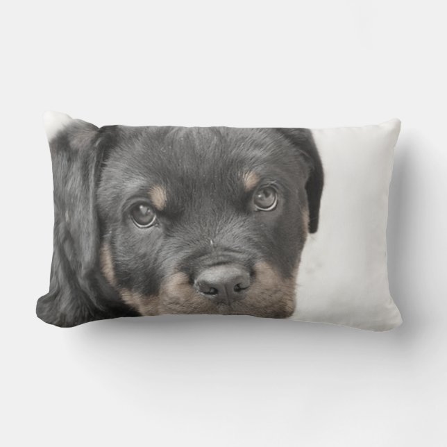 Coussin Rectangle Carreau de lumbar de chien de rottweiler (Recto)