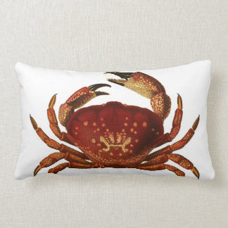 Coussin Rectangle Carreau de Lumbar de crabe en pierre de la Floride