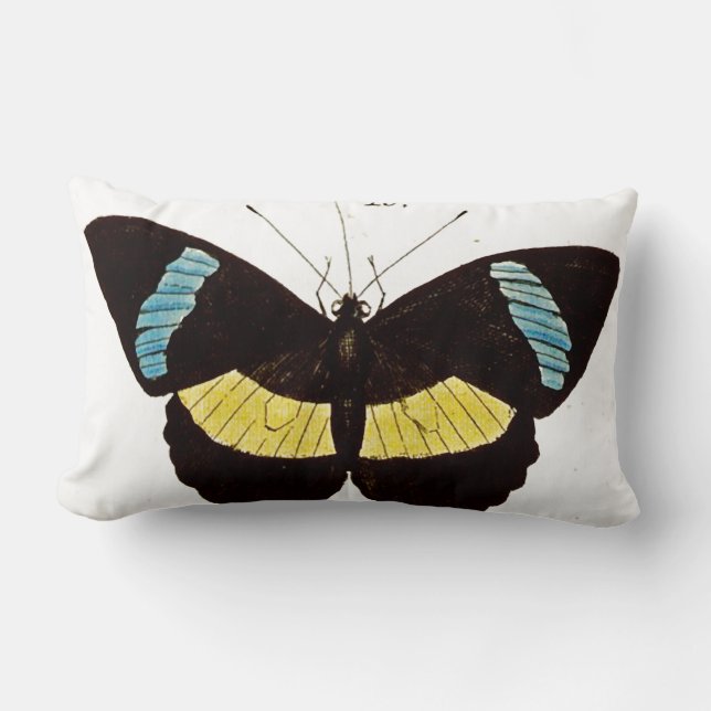 Coussin Rectangle Carreau de papillon dans le noir, l'Aqua et le (Recto)
