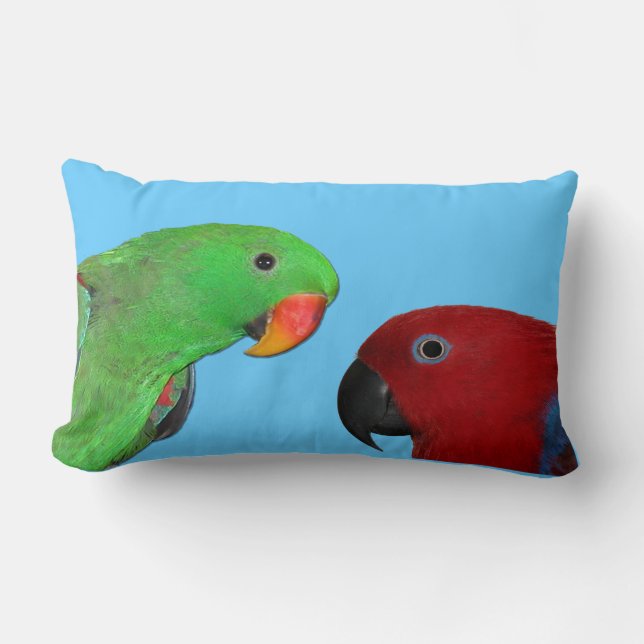 Coussin Rectangle carreau hommes-femmes de perroquet d'eclectus (Recto)
