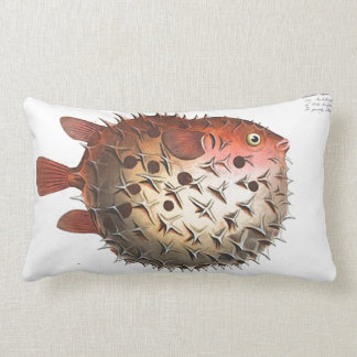 Coussin Rectangle Carreau nautique de Lumbar de poissons de