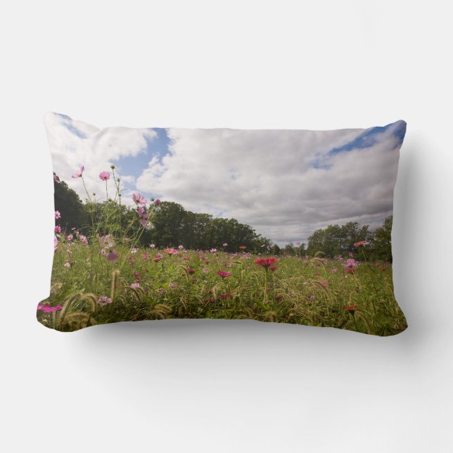 Coussin Rectangle Carreau pittoresque (Recto)