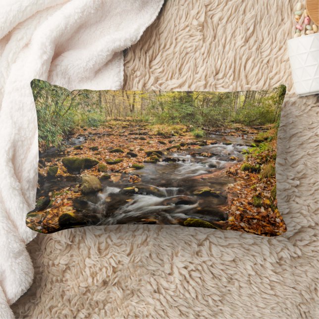 Coussin Rectangle Cataloochee Creek NC Great Smoky Mountains (Couverture)