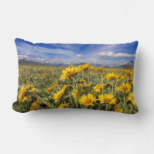 Coussin Rectangle Chaîne frontale des montagnes Rocheuses