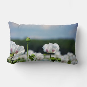 Coussin Rectangle Champ de fleurs, fleur de pavot somnifère.