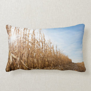 Coussin Rectangle Champ de maïs en partie moissonné