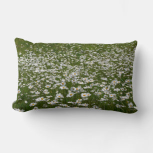 Coussin Rectangle Champ de marguerites Fleurs sauvages de l'Alaska