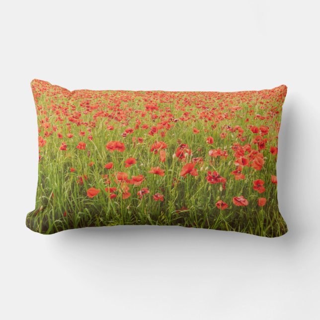 Coussin Rectangle Champ Poppies (Recto)