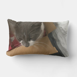 Coussin Rectangle Chat dans la boîte