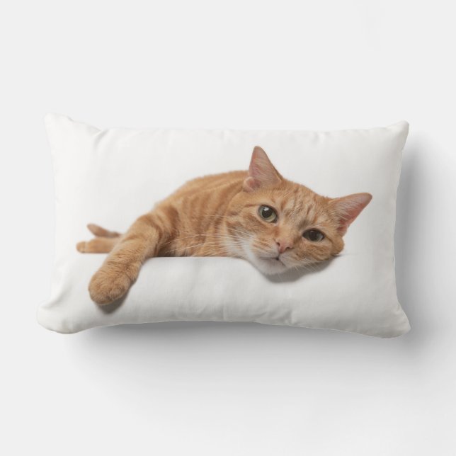 Coussin Rectangle Chat Orange Posé En Bas (Recto)