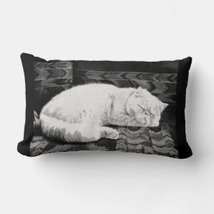 Coussin Rectangle Chat perse blanc couché