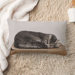 Coussin Rectangle Chat tigré gris dormant sur la boîte