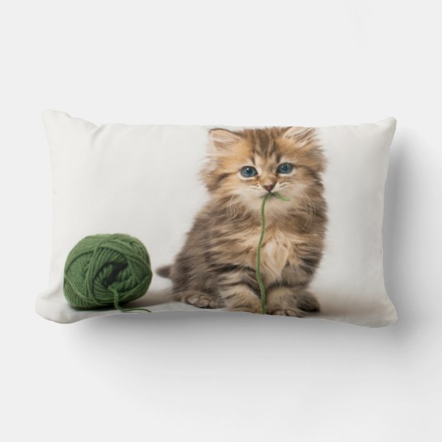 Coussin Rectangle Chaton avec le fil vert (Recto)