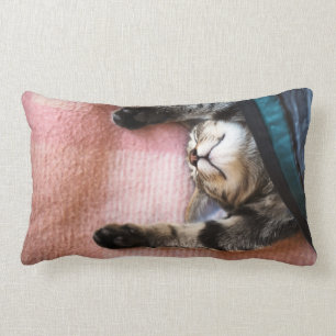 Coussin Rectangle Chaton de sommeiller