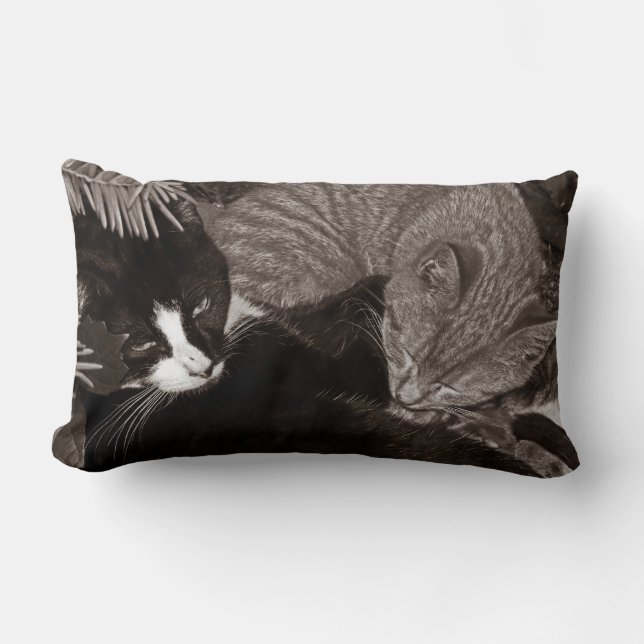 Coussin Rectangle Chats de Yin Yang (Recto)