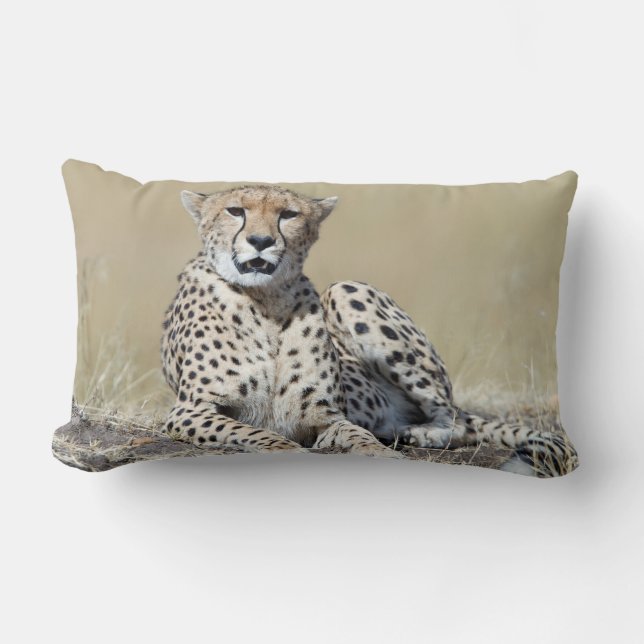 Coussin Rectangle Cheetah (Recto)