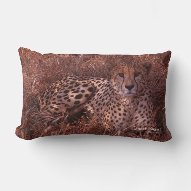 Coussin Rectangle Cheetah Stare (Recto)