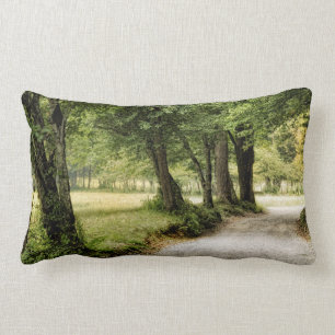 Coussin Rectangle Chemin dans le pays