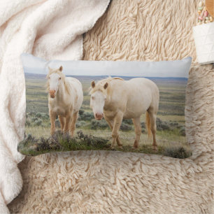 Coussin Rectangle Cheval sauvage errant dans la prairie de Cody