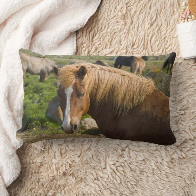 Coussin Rectangle Chevaux islandais dans le nord-est de l'Islande (Couverture)