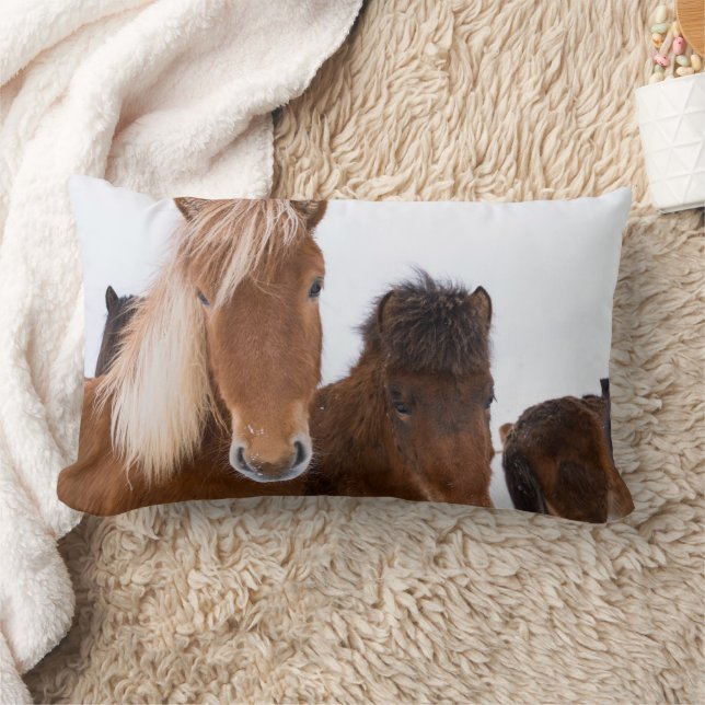 Coussin Rectangle Chevaux Islandais mignons ensemble (Couverture)