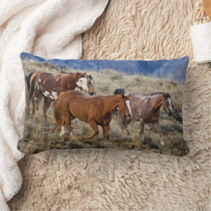 Coussin Rectangle Chevaux Parcourir les collines