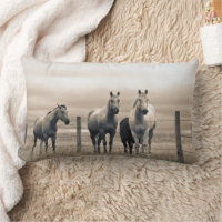 Chevaux Quarter sur la prairie canadienne