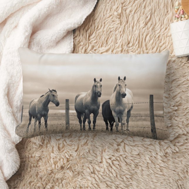 Coussin Rectangle Chevaux Quarter sur la prairie canadienne (Couverture)