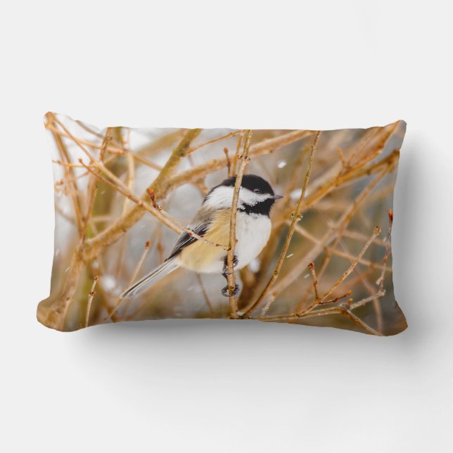 Coussin Rectangle Chickadee au plafond noir - Photo originale (Recto)