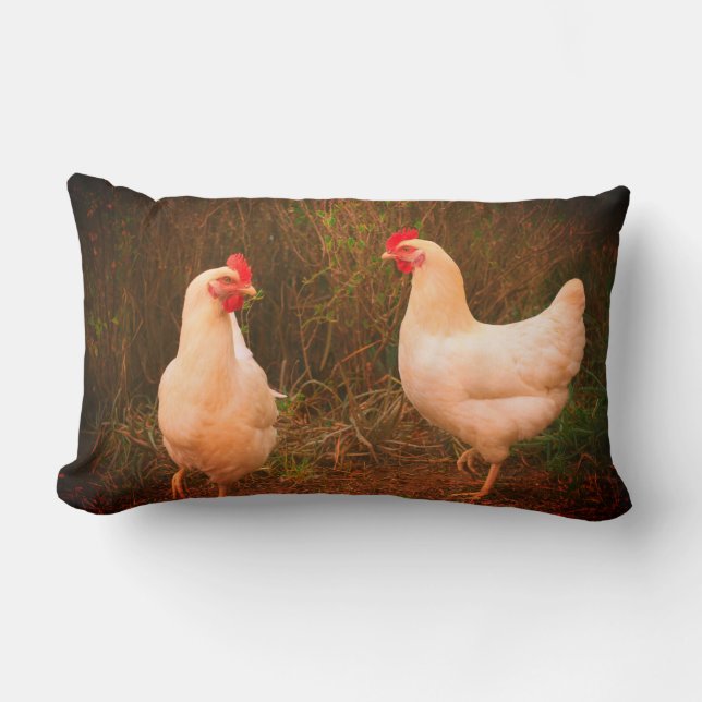 Coussin Rectangle Chicken Funky Hen Hy Line Silver Brown (Recto)